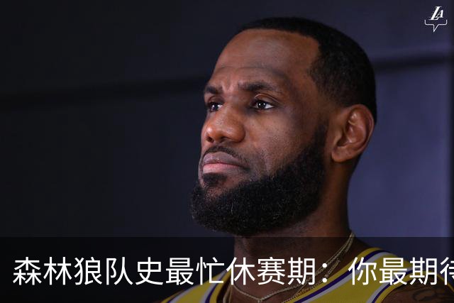 森林狼队史最忙休赛期：你最期待谁的新赛季首秀？